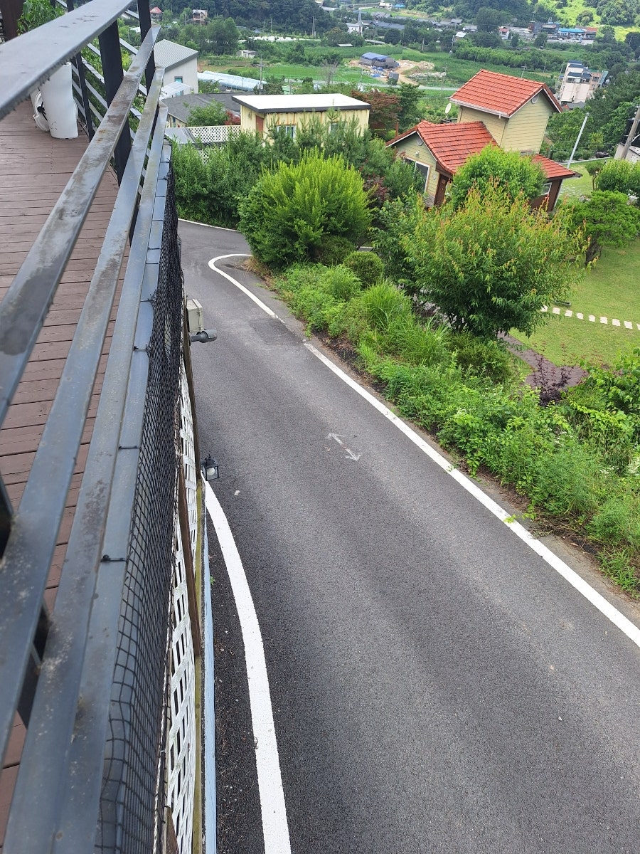 보보 사진 4