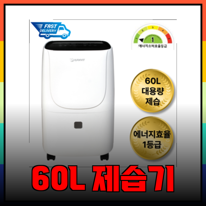 쾌적한 공간을 위한 선택: 60L 제습기 완벽 가이드