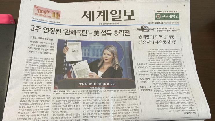 20250709 세계일보, 조선일보, 한겨레신문 사설 요약 및 분석