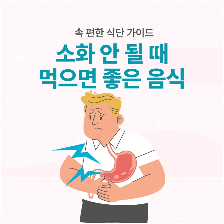  소화 안 될 때 먹으면 좋은 음식 – 속 편한 식단 가이드