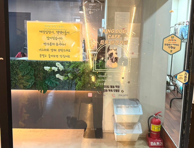 사진 10