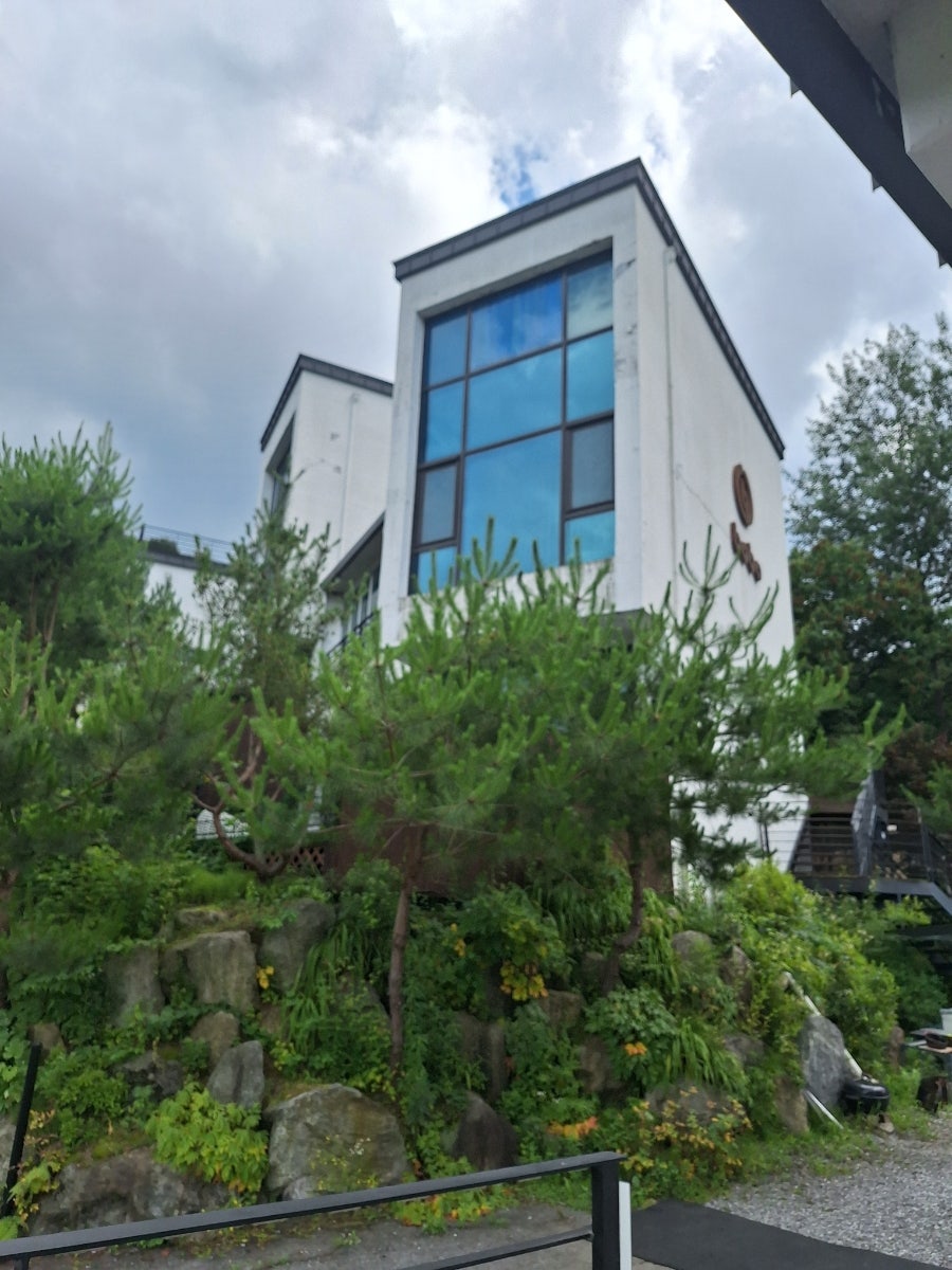 보보 사진 3