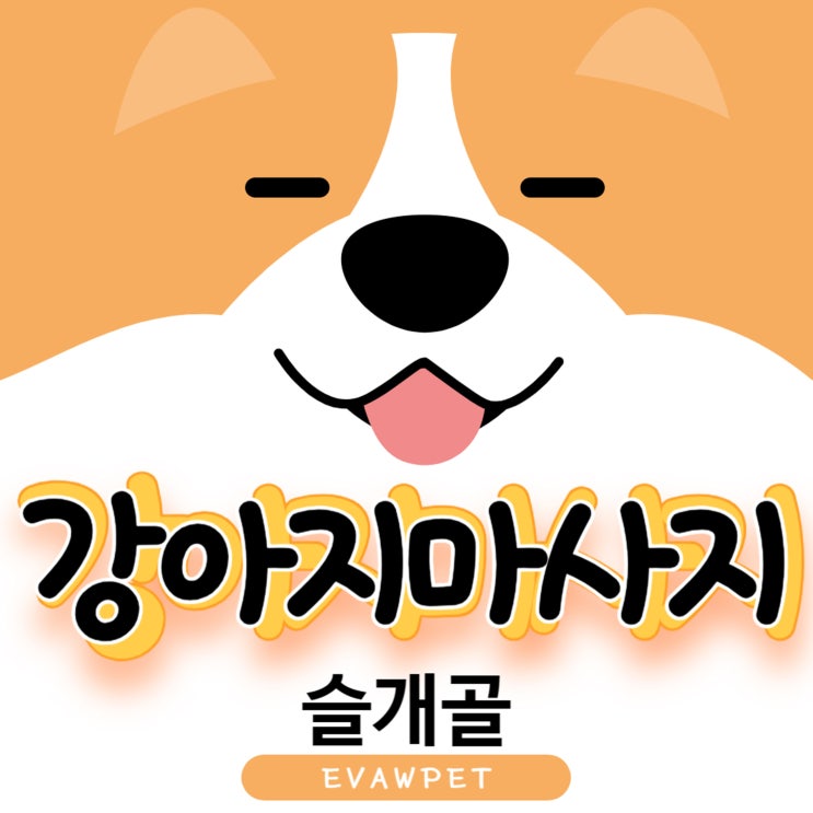 강아지슬개골마사지 꼭 알아야 할 이유와 올바른 방법 안내