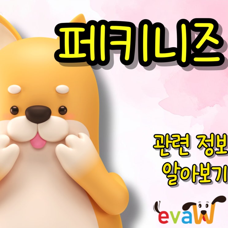  페키니즈 품격 있는 작은 사자견의 모든 것 (분양, 성격, 기본정보, 후기)