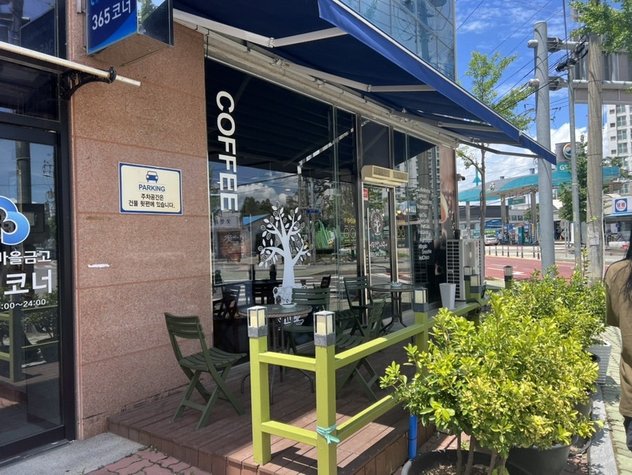 커피밥나무 사진 1