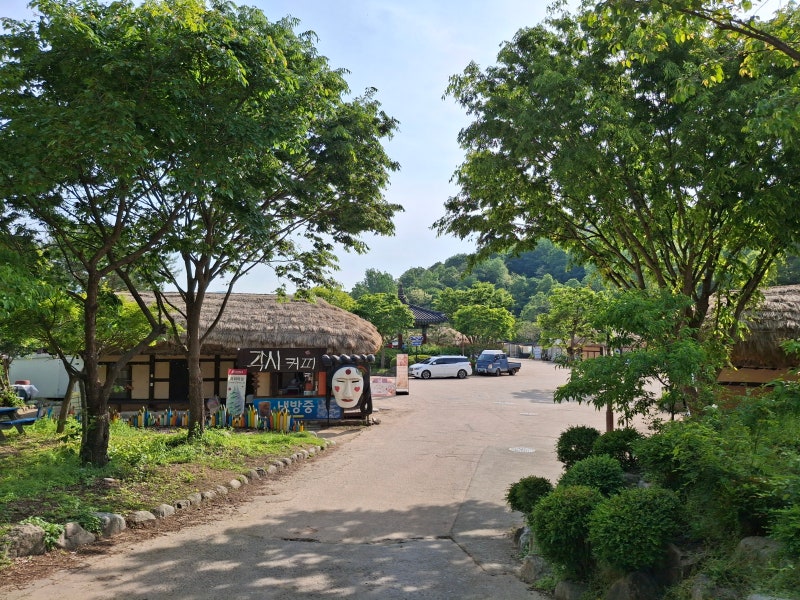 사진 3