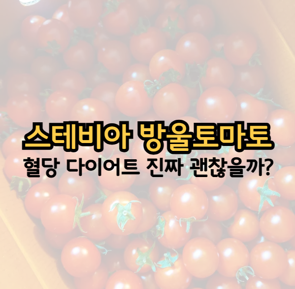 스테비아 방울토마토 칼로리 혈당 다이어트에 괜찮을까