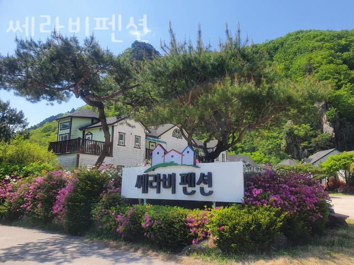 쎄라비펜션 사진 4