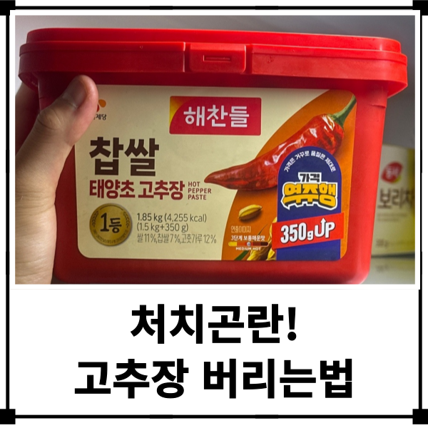 처치곤란 유통기한 지난 고추장 버리는법 분리수거는 일반쓰레기로 버리기