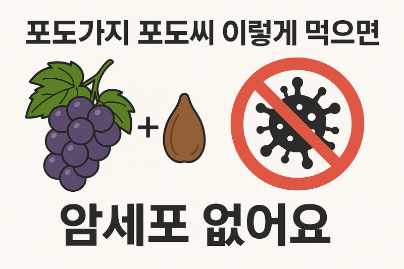 신의 과일 포도효능 포도껍질 포도가지로 암세포 없애는 요리 만드는법