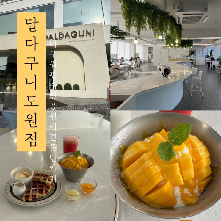  [ 달다구니 도원점 ] 대구 달서구 월광수변공원 망고빙수 맛집 카페