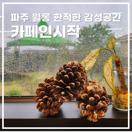  파주 월롱 대형카페 카페인시작, 한적한 골목 끝에 자리한 감성공간