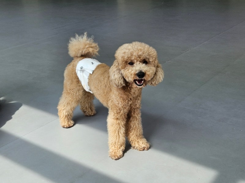 사진 10