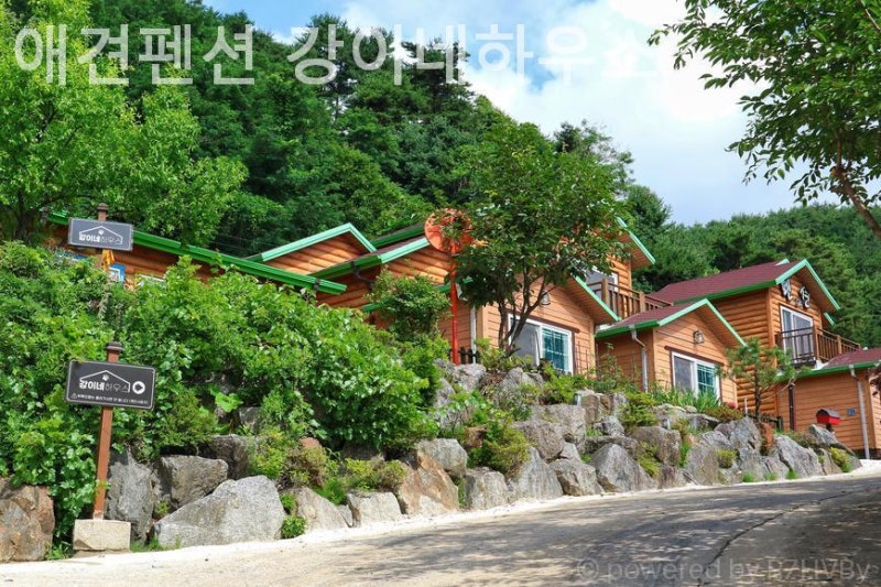 사진 4