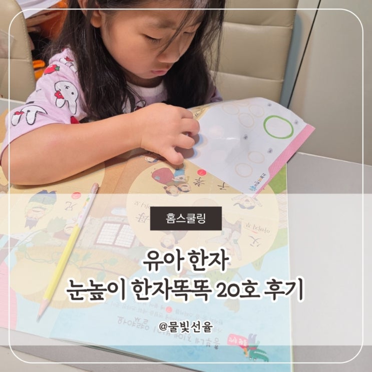  유아 한자 눈높이 한자똑똑 20호 후기