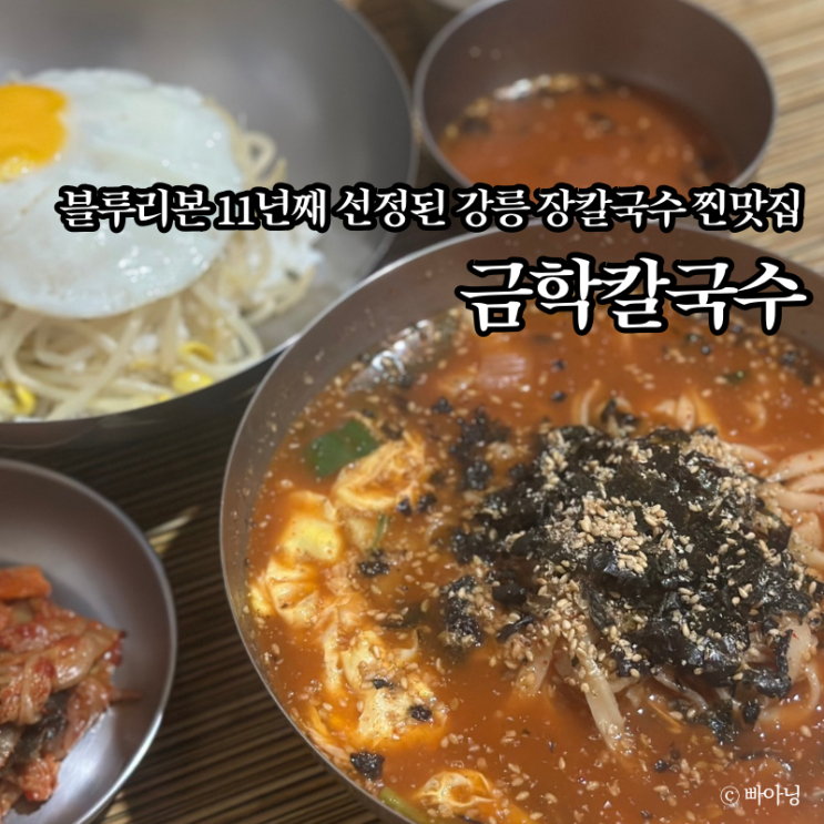  강릉 10년 단골 블루리본 11개 금학칼국수 주차팁 애견동반가능