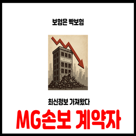  MG손해보험 계약자 반드시 확인하세요