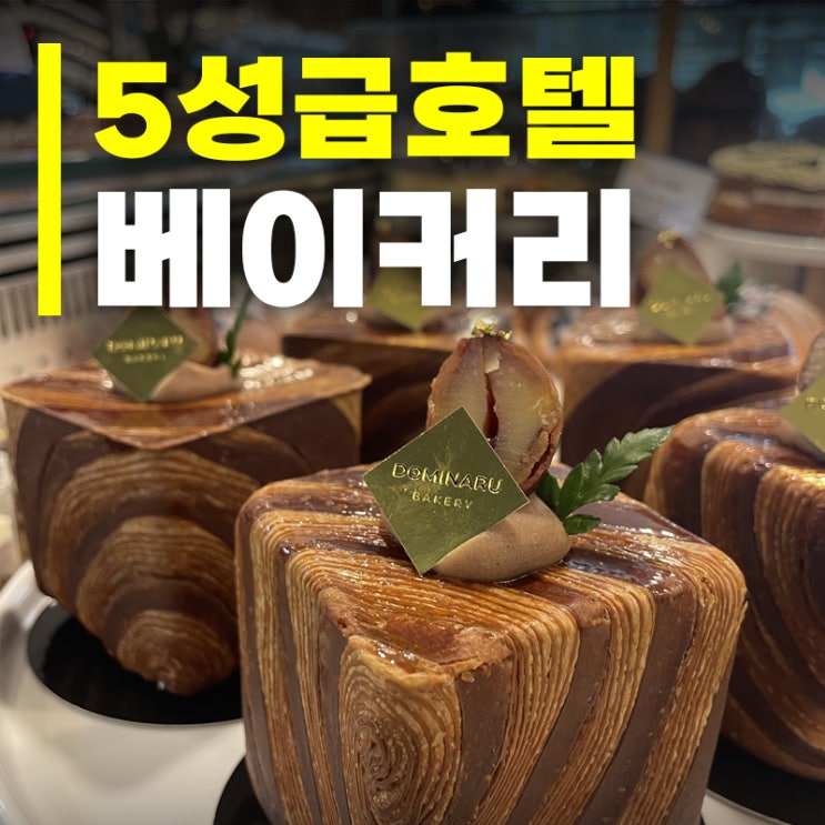  하남애견카페 추천! 도미나루터제빵소 메뉴·주차·빵종류 총정리