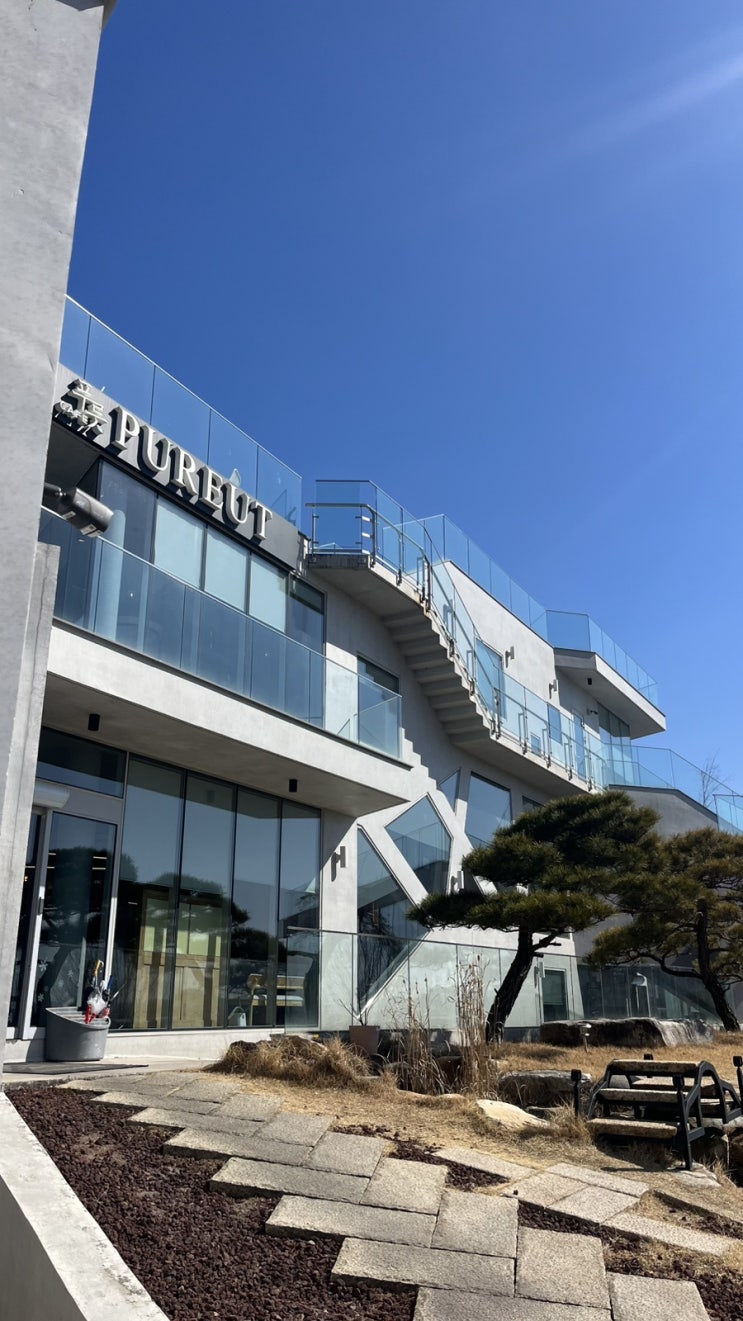  경주 대형 카페 추천 애견동반 카페 추천 푸릇 내돈내산 리뷰