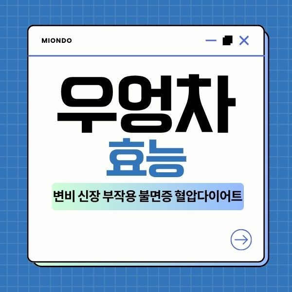연근 우엉차효능 변비 신장 및 부작용 불면증 혈압 다이어트 효과