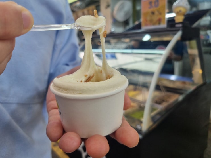  강릉 여행 중앙시장 필수 코스 젤라또마켓 순두부젤라또 내돈내산