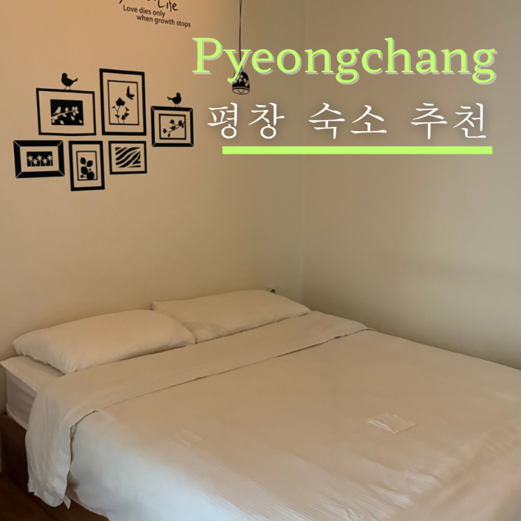  평창 휘닉스파크 숙소 추천 가성비 좋고 깔끔한 위모텔