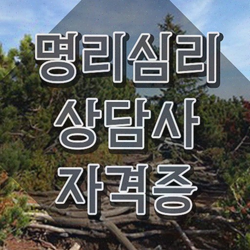  사주 오행 상생 , 명리심리상담사 자격증 15일 만에 합격한 비법 및 취업 전망