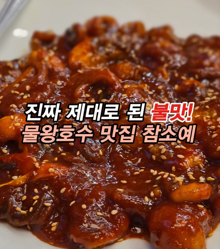  불맛 한가득 시흥 물왕동 쭈꾸미 맛집 물왕호수 맛집 참소예