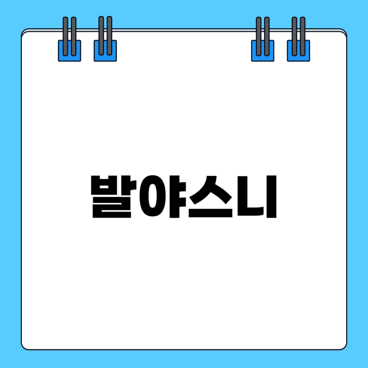  발야스니 사기 없고 (Balyasny) 맞춤형 리서치 투자