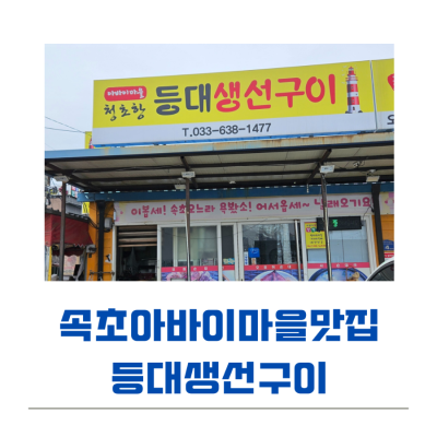 [속초아바이마을맛집]등대생선구이에서 고소한 생선구이 한가득 먹고 온 후기