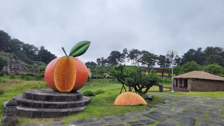  [제주 서귀포] 온 가족 제주여행 - 감귤 박물관, 미처 몰랐던 감귤의 역사와 문화