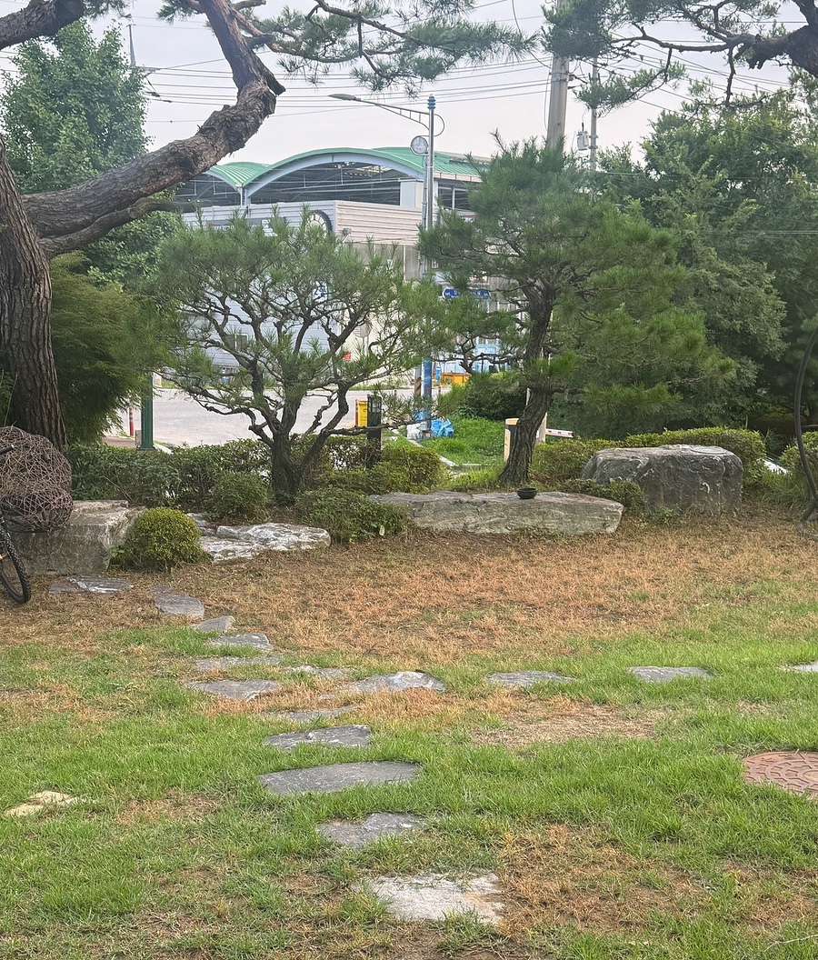 소나무집 사진 2