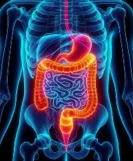 Clostridioides (formerly Clostridium) difficile–Induced Diarrhea (클로스트리디움) 디피실 유발 설사