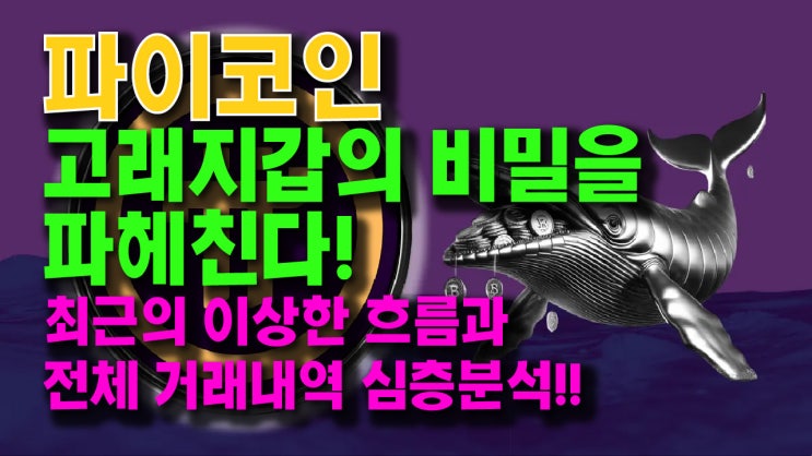 파이코인 고래지갑의 비밀을 파헤친다!! 최근의 이상한 흐름과 전체 거래내역 심층분석!!