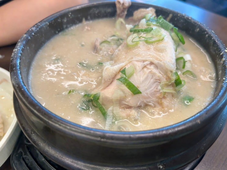  인천 서구청 맛집 복날 삼계탕 추천 계담삼계탕 본점