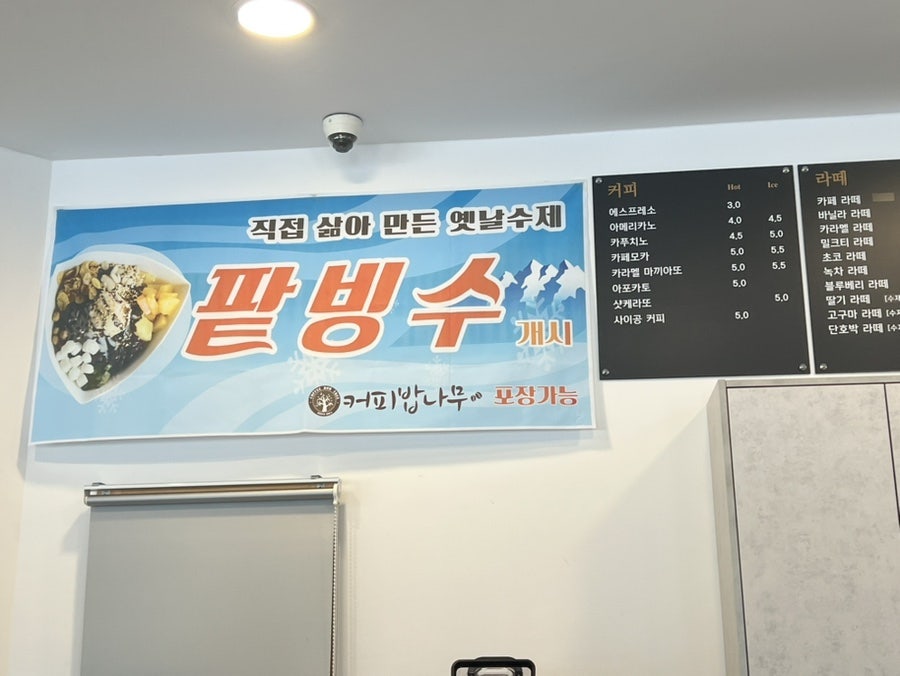 커피밥나무 사진 2