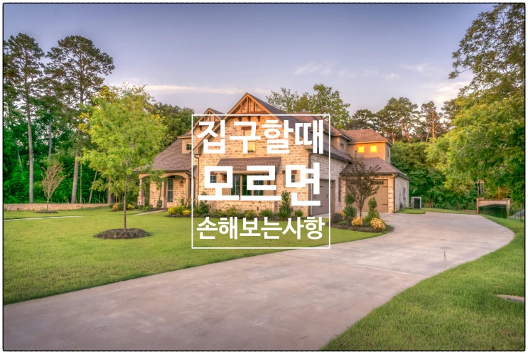 집 구할때 모르면 손해 보는 주의사항 / 건강생활소식(25.07.10)