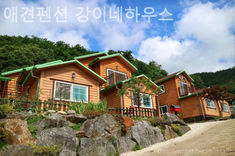 사진 3