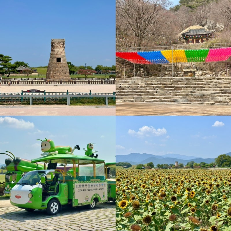 7월 경주 관광지 가볼만한곳 경주시티투어버스 예약 코스