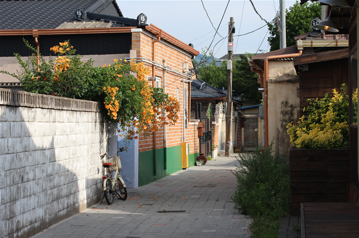  [사진] 여름과 친해져야겠어요.