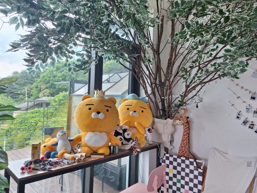 보보 사진 5