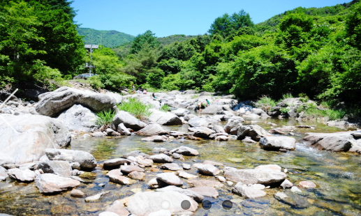 호명농산가든 사진 2