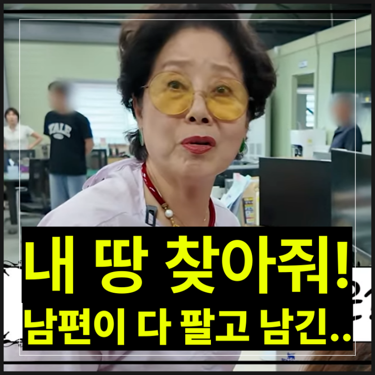 <b>선우용여 900평 땅</b> 남편이 남긴 것을 찾으러 해남까지 간 사연