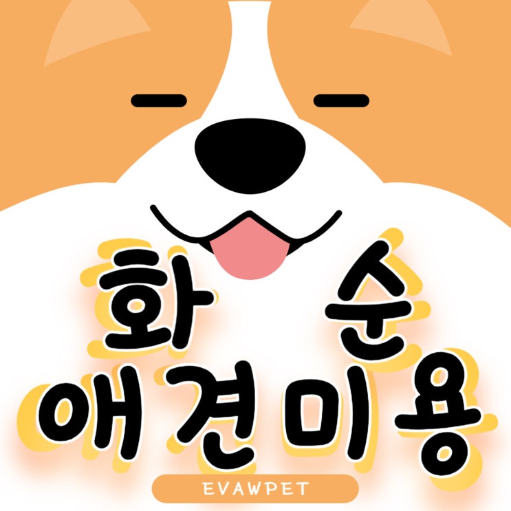  화순애견미용학원 – 반려동물 전문가로 성장하는 혁신 공간