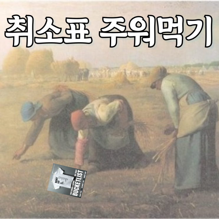  취소표 주워먹기 - 소란 클럽 투어 버킷리스트
