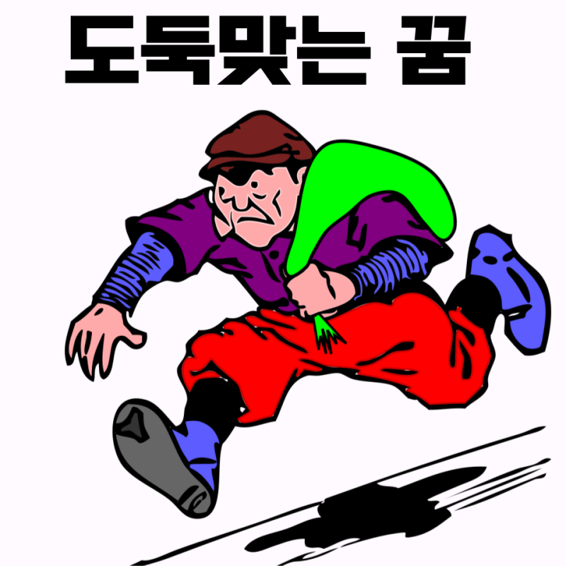 도둑맞는 드는 꿈 차 돈 지갑 금 물건 뺏기는 꿈