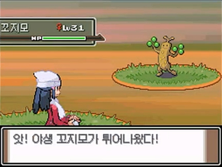 [공략]포켓몬스터 플래티넘 15 - 번외 2: 미탐사구역 탐방(213번도로, 219번도로, 220번수로) -