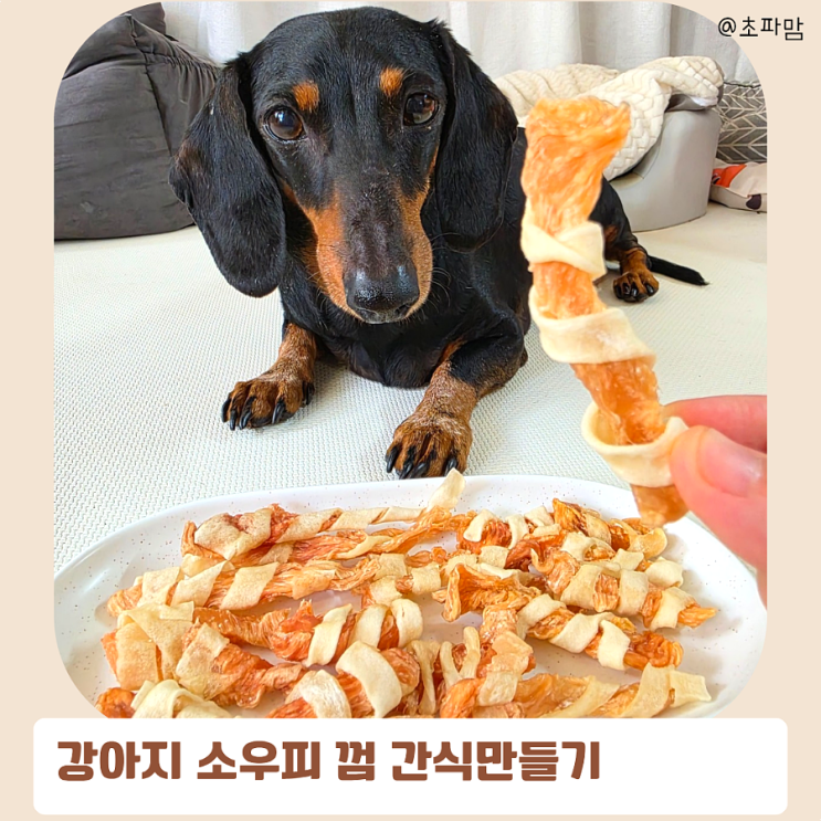  강아지 껌 만들기 소우피 건조간식 레시피