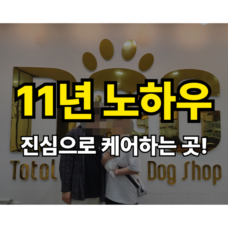  세종시 강아지 분양 후기, 왜 11년째 운영중인 원독을 추천하나요? 말티즈 공주님 분양