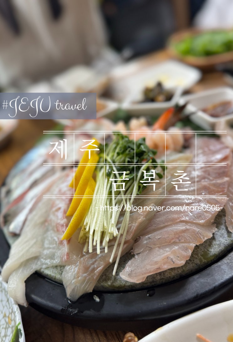  배 터지게 먹는다는 제주 도민 모둠 회 금복촌